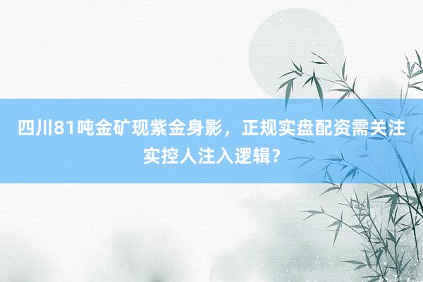 四川81吨金矿现紫金身影，正规实盘配资需关注实控人注入逻辑？