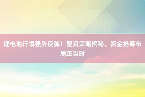 锂电池行情强势反弹！配资策略揭秘，资金抢筹布局正当时