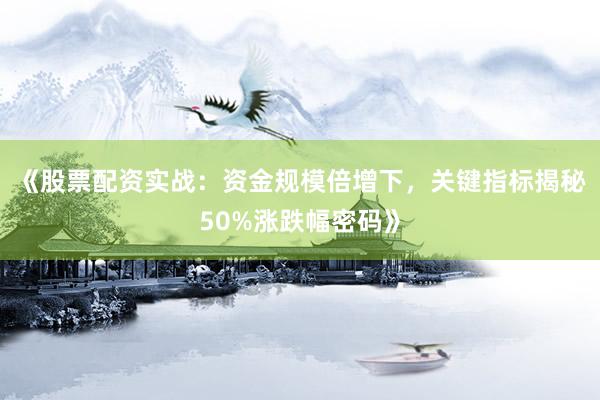 《股票配资实战：资金规模倍增下，关键指标揭秘50%涨跌幅密码》