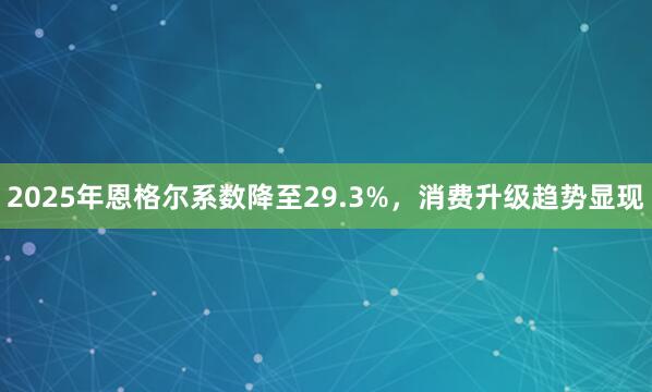 2025年恩格尔系数降至29.3%，消费升级趋势显现