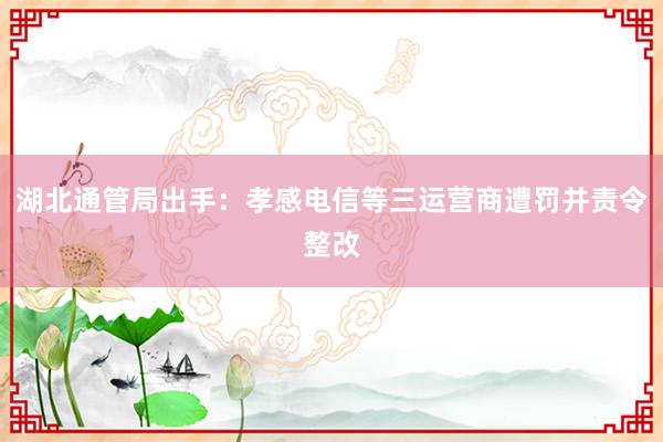 湖北通管局出手：孝感电信等三运营商遭罚并责令整改