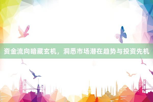 资金流向暗藏玄机,洞悉市场潜在趋势与投资先机