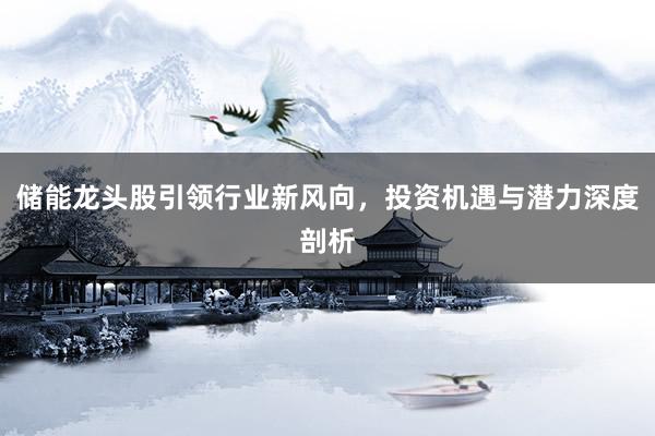 储能龙头股引领行业新风向，投资机遇与潜力深度剖析