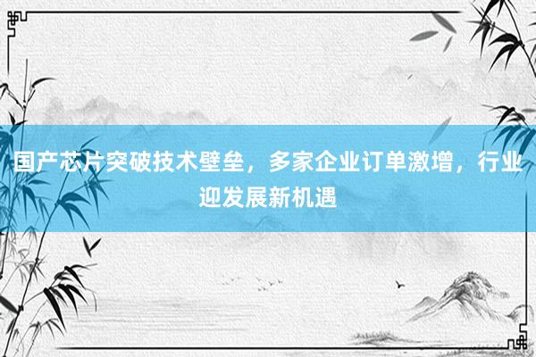 国产芯片突破技术壁垒,多家企业订单激增,行业迎发展新机遇