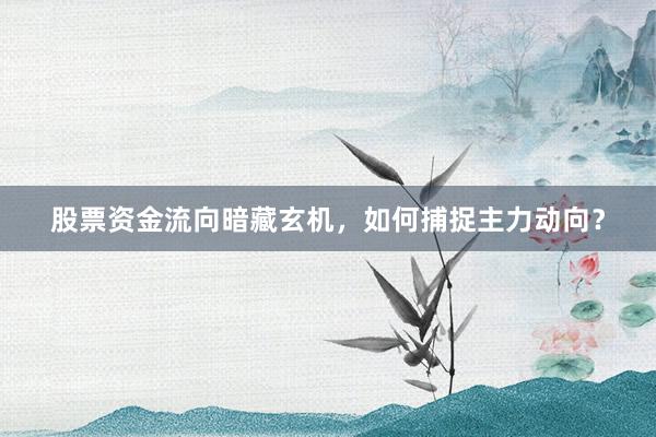股票资金流向暗藏玄机，如何捕捉主力动向？