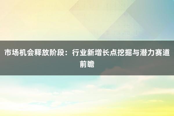 市场机会释放阶段:行业新增长点挖掘与潜力赛道前瞻