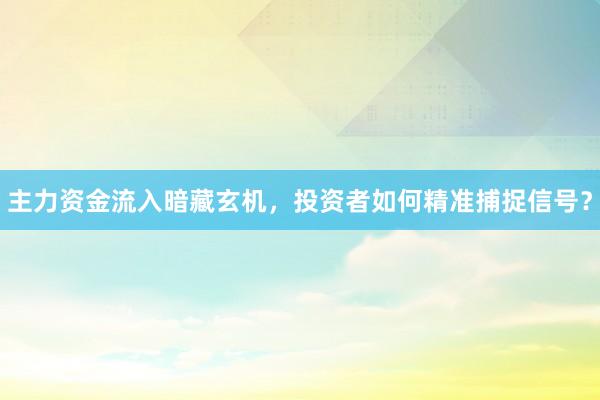 主力资金流入暗藏玄机，投资者如何精准捕捉信号？
