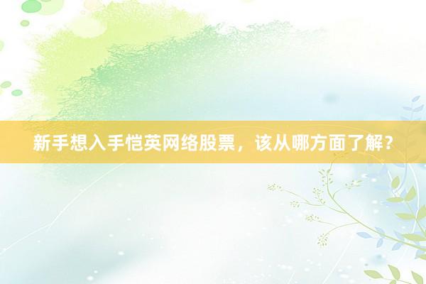 新手想入手恺英网络股票，该从哪方面了解？