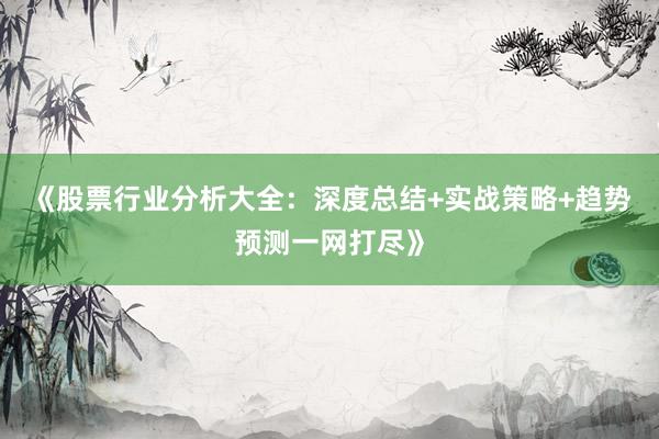 《股票行业分析大全：深度总结+实战策略+趋势预测一网打尽》